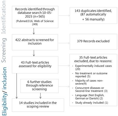 Treatment of clinically severe bovine mastitis – a scoping review